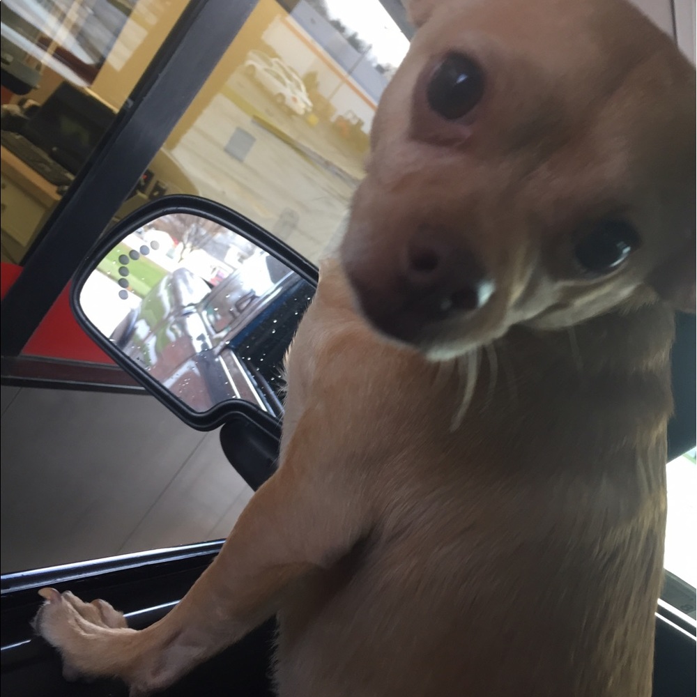 Meet your Posher, Raiko