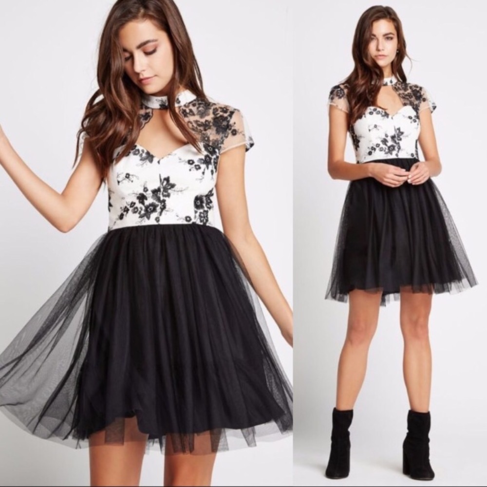 BCBG Floral cutout tulle dress w/ mesh embroidery