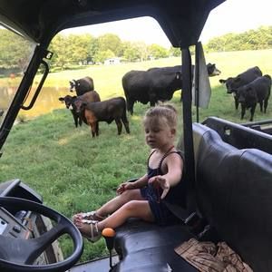 Meet your Posher, Kim