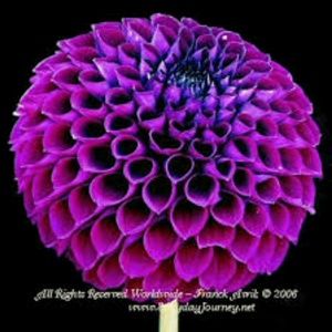 Meet your Posher, Leanna