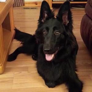 Meet your Posher, Brandyandgreg