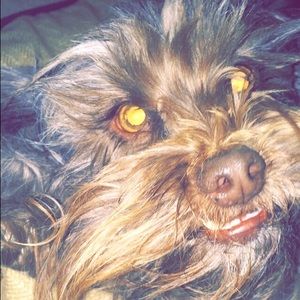 Meet your Posher, Eve