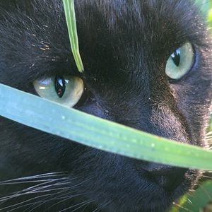 Meet your Posher, Sam