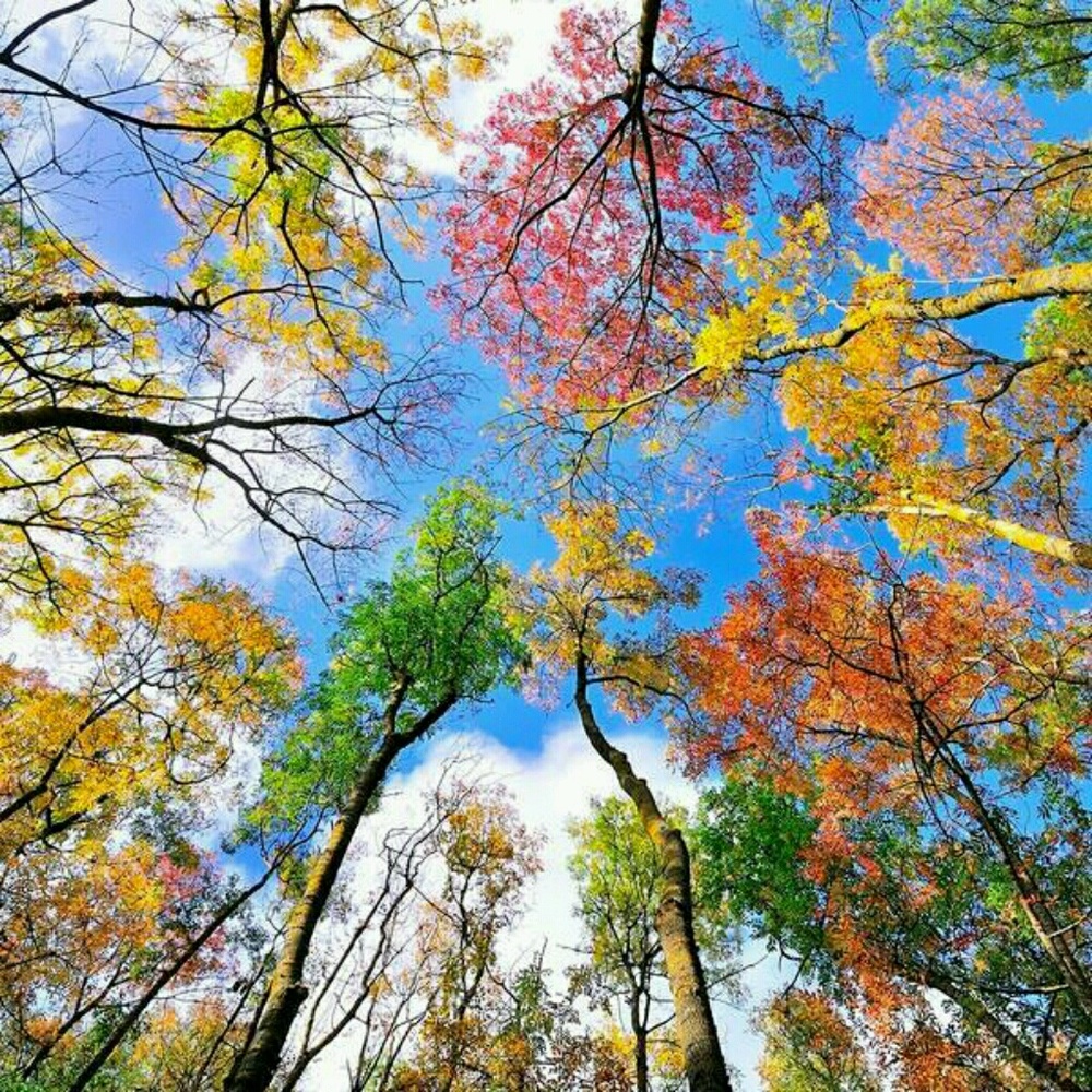 Meet your Posher, Natallia