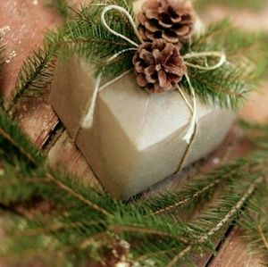 Meet your Posher, Delisa