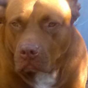 Meet your Posher, Camille