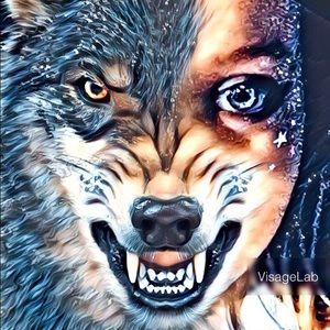 Meet your Posher, Loralei