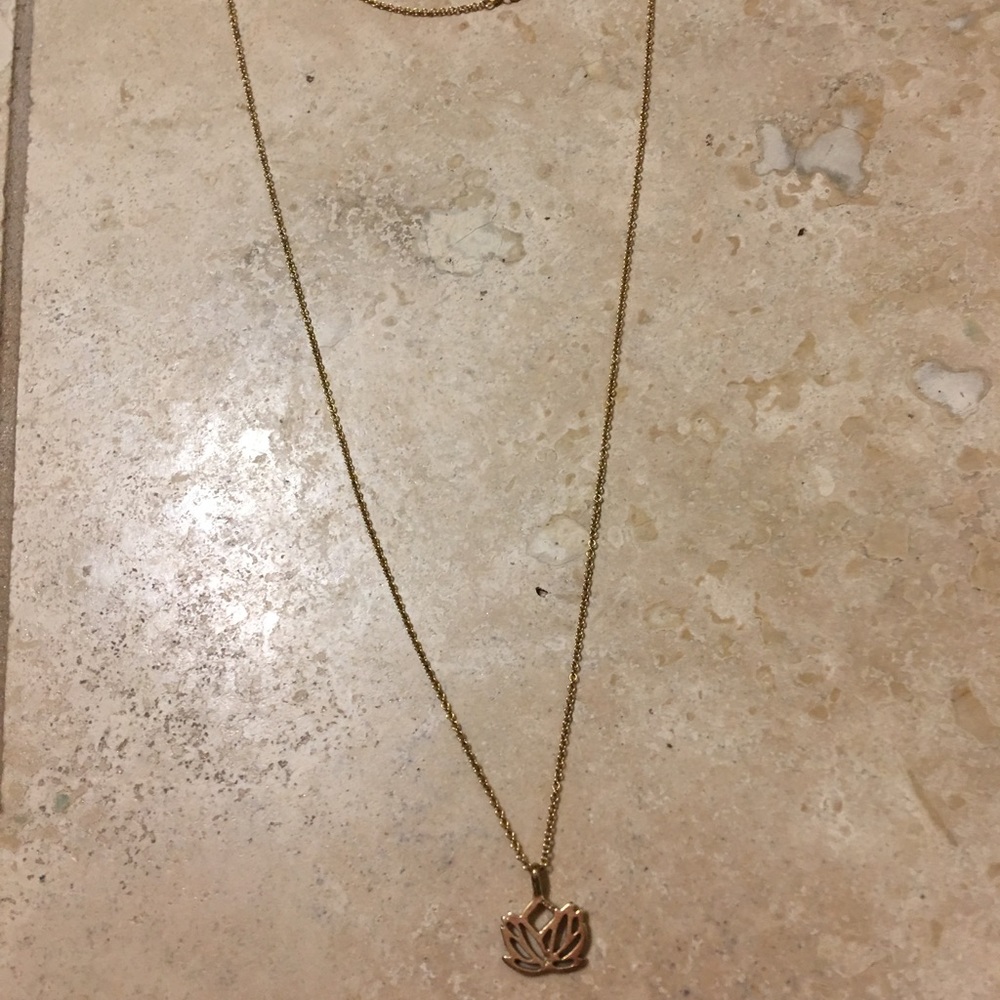 Gently used New Beginnings Dogeard necklace