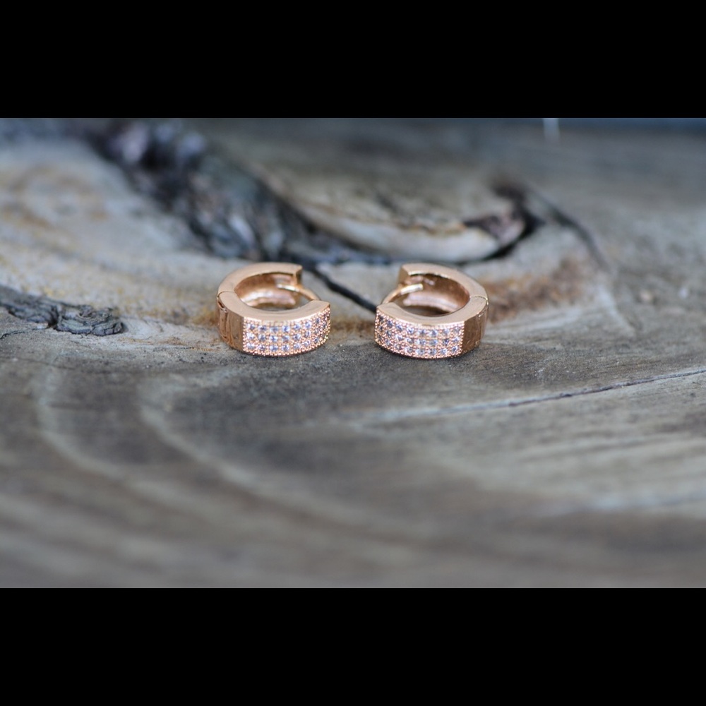 18K Gold Plated Round Tiny Zircon AAA Earrings