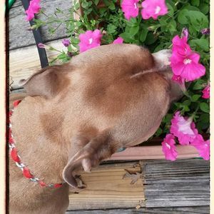 Meet your Posher, Krista