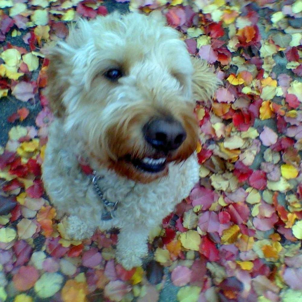 Meet your Posher, Magz