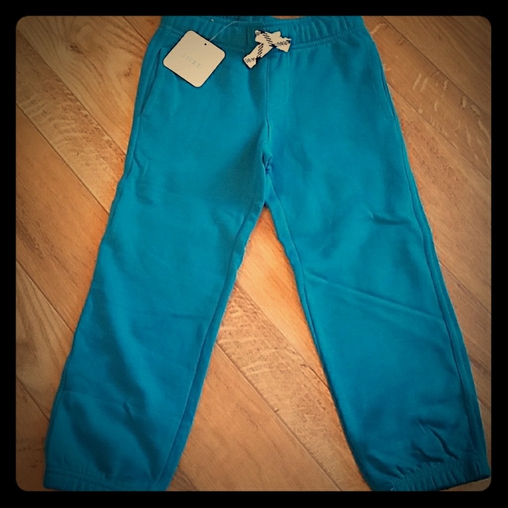 Teal sweatpants
