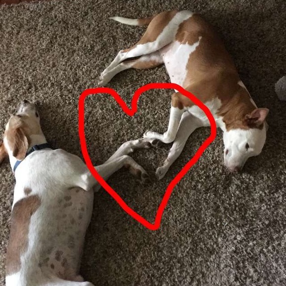 About me! - Picture 4 of 6