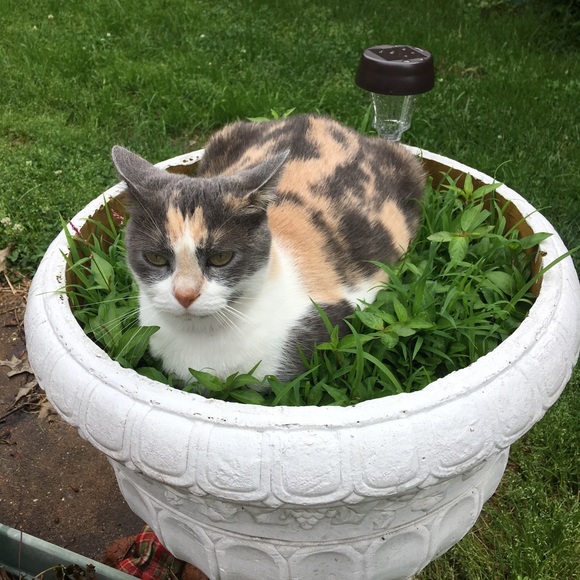 About me! - Picture 6 of 6