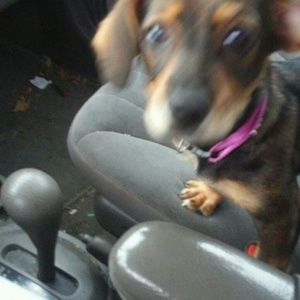 Meet your Posher, Brenda