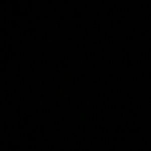 Meet your Posher, Laina