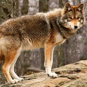 Meet your Posher, Johnathon