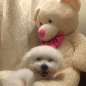 Meet your Posher, Margarita