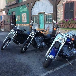 Meet your Posher, Ellen