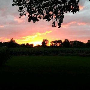 Meet your Posher, Roxann