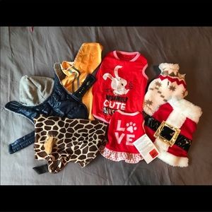 12 X-Small dog outfits & shoes
