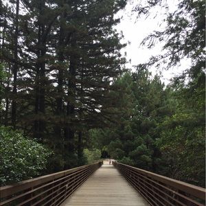 Meet your Posher, Karina