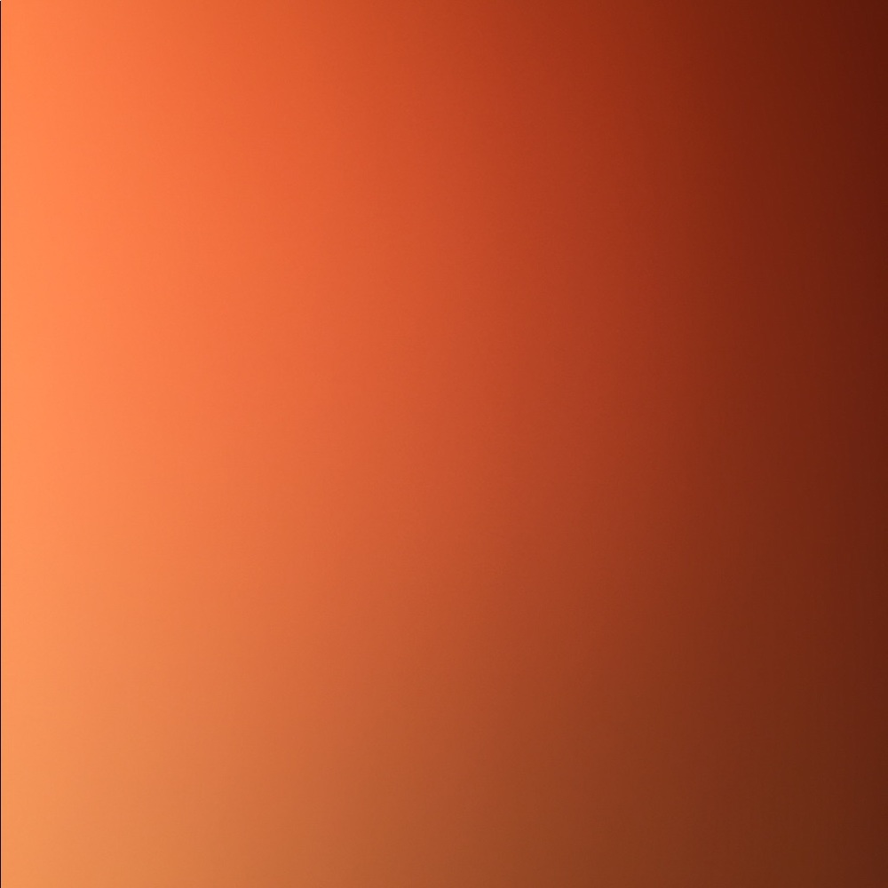 Meet your Posher, Beau