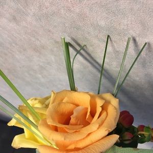 Meet your Posher, Karla