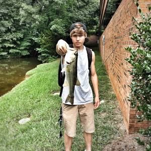 Meet your Posher, Brandon