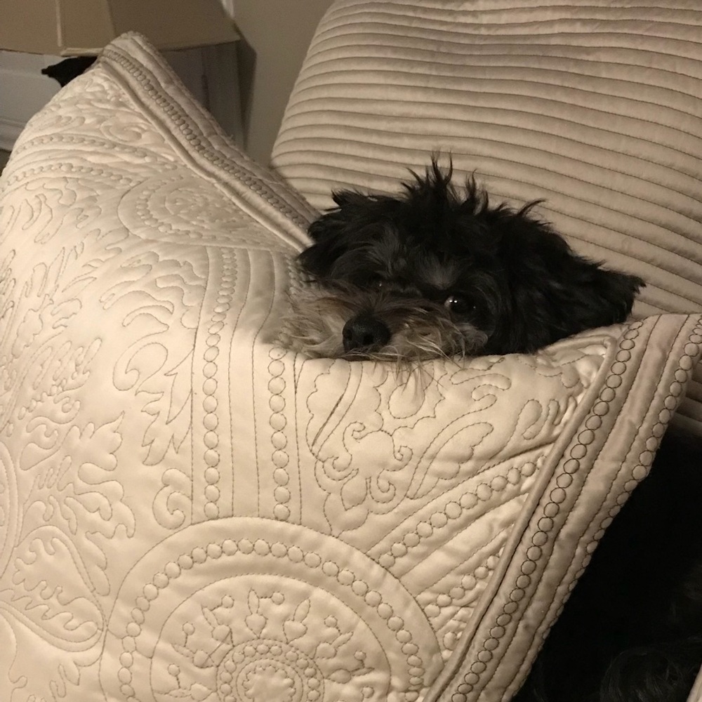 Meet your Posher, Candace