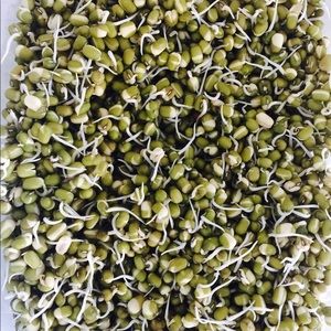 Meet your Posher, Anamika