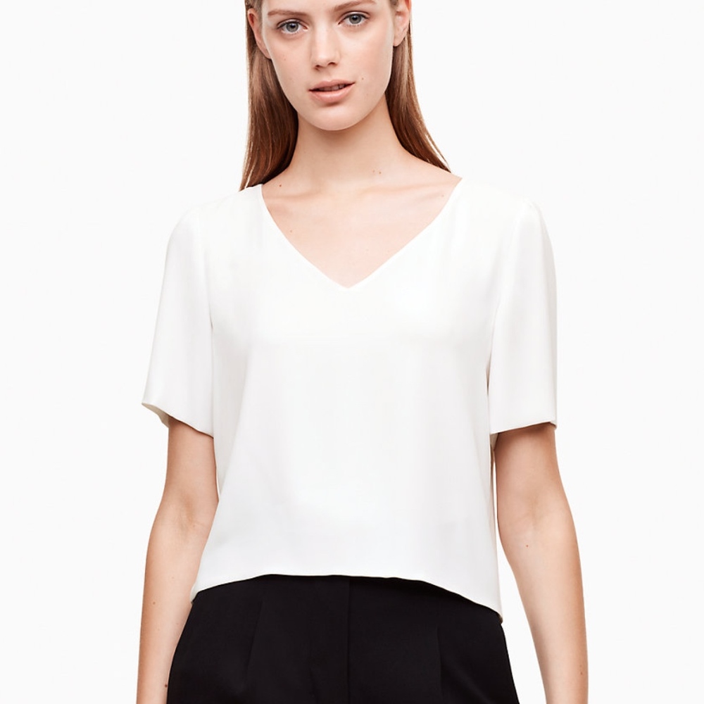 Aritzia Babaton Randy Blouse