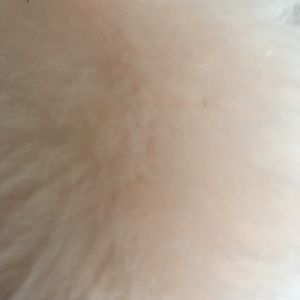 Meet your Posher, Jenny