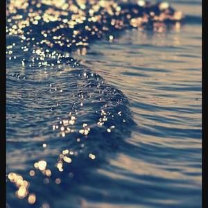 Meet your Posher, Sana