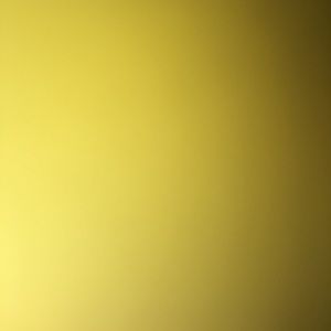 Meet your Posher, Daelene