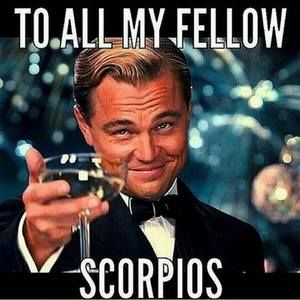 Meet your Posher, Sheryle