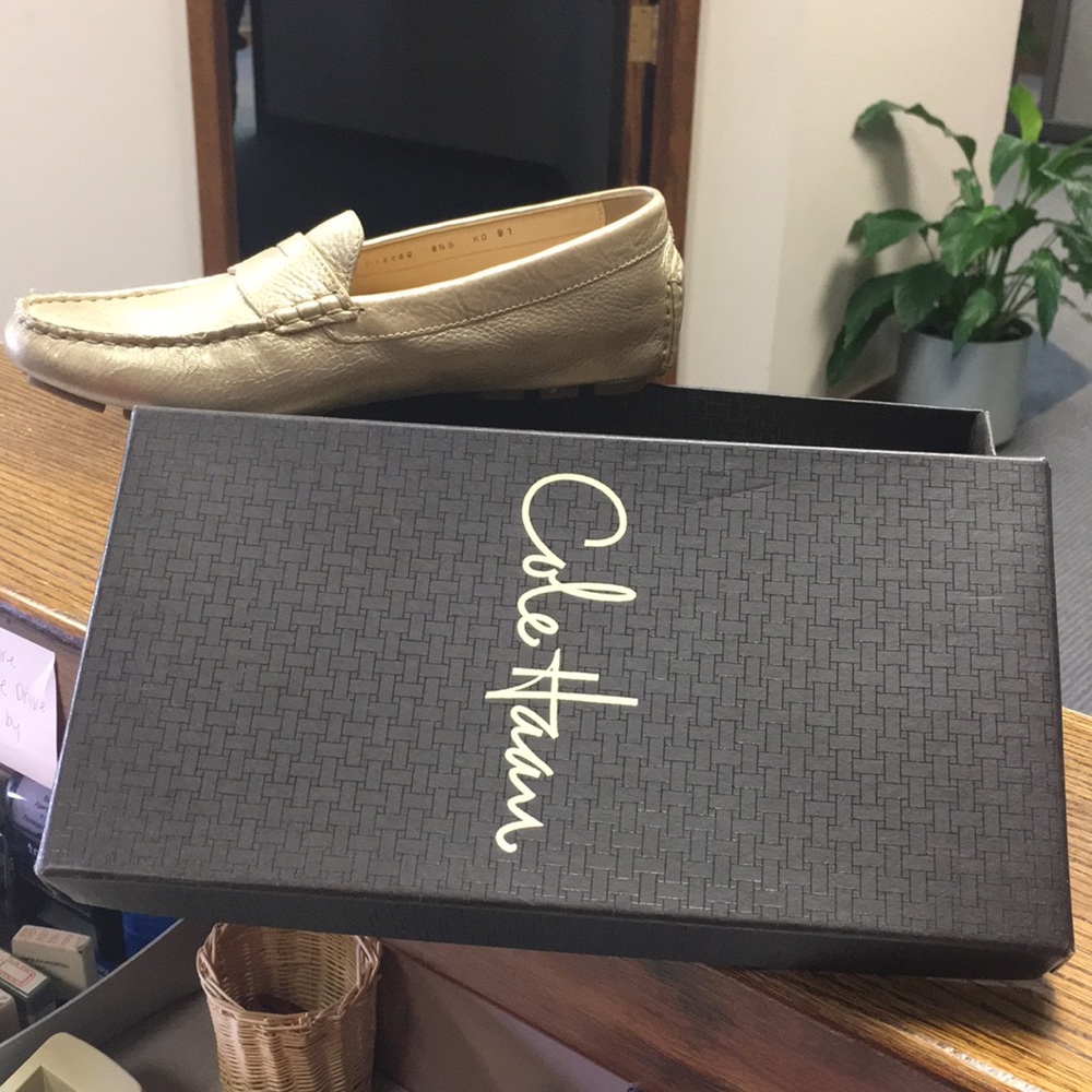 Gold Air Penny Driver