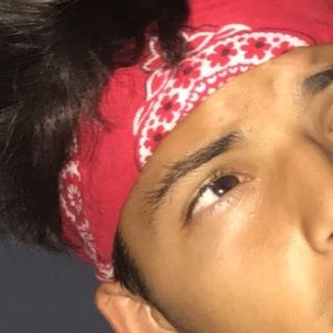 Meet your Posher, Max