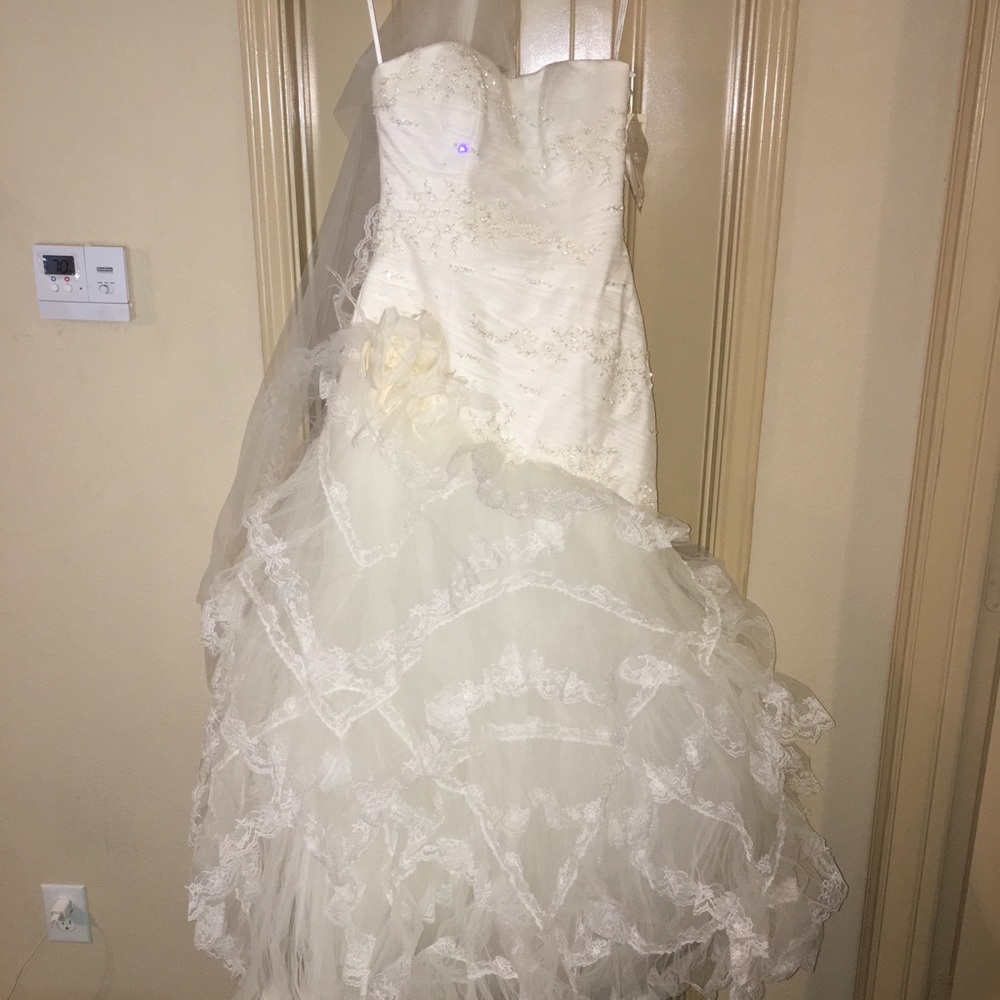 Pronovias wedding dress