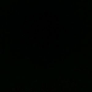 Meet your Posher, Timothy