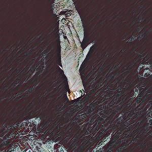 Meet your Posher, Donovan