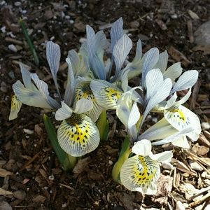 Meet your Posher, Jan