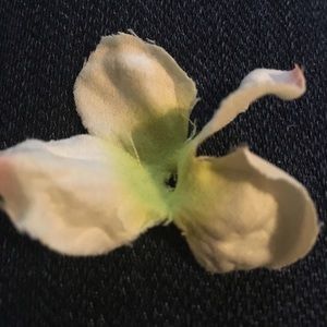 Meet your Posher, Ines