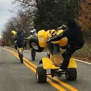 Meet your Posher, Daryl