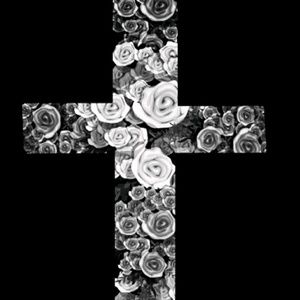 Meet your Posher, Bobbie