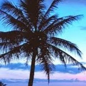 Meet your Posher, Alejandra