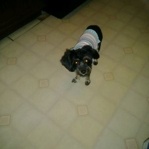 Meet your Posher, Keona