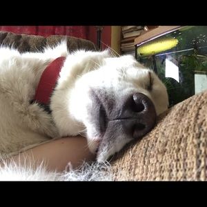 Meet your Posher, Mia