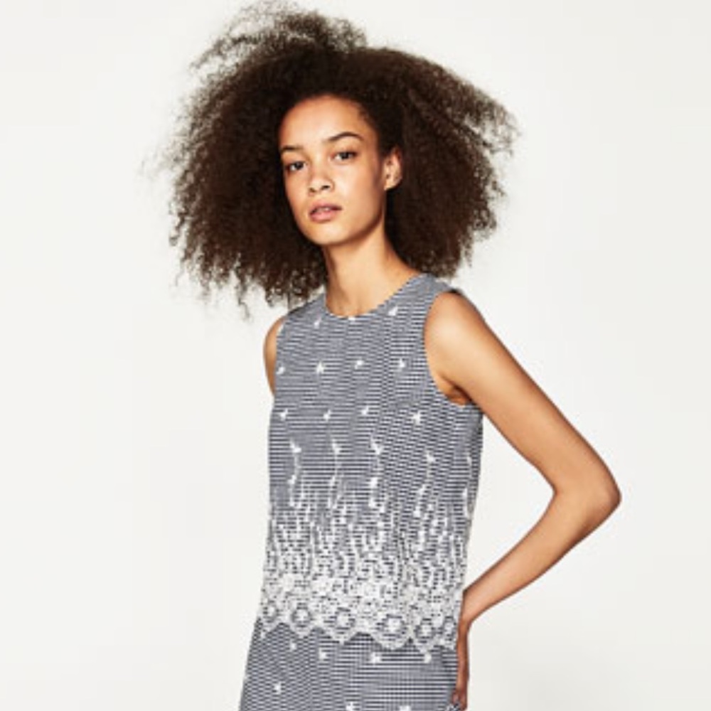 Zara Gingham Embroidered Top