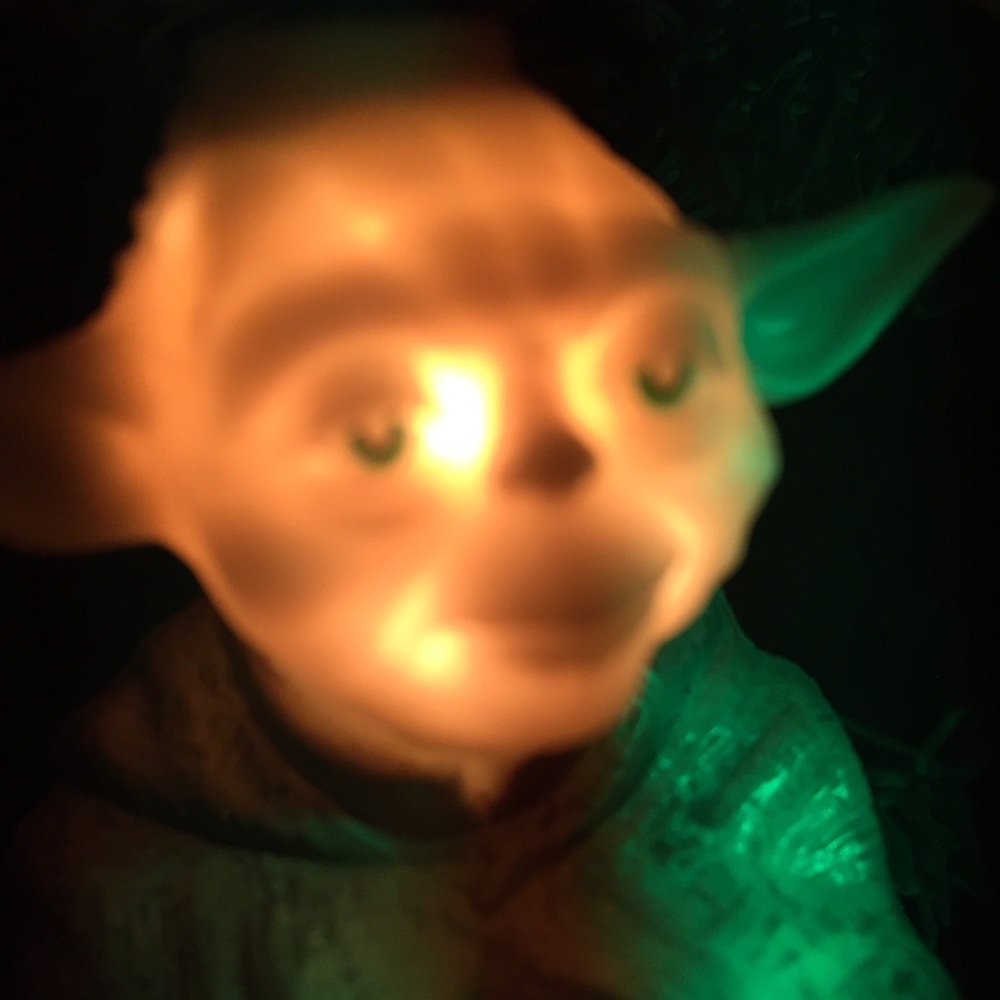 Meet your Posher, Joy